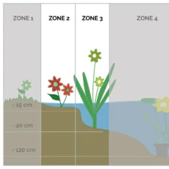 6x Bloeiende Vijverplanten Mix – Zone 2 & 3 – ⌀9 Cm - ↕05-20 Cm -Exporteren Tuin Verge Winkel 1000013958 0103
