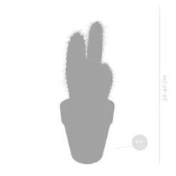 Pilosocereus Azureus - Terracotta Pot - P17H40 -Exporteren Tuin Verge Winkel 1000018814 0102