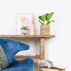 Medinilla Lambada – Trosbloem – ⌀14 Cm - ↕35-45 Cm -Exporteren Tuin Verge Winkel 1000045242 0103