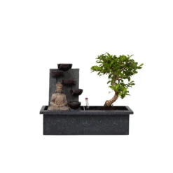 Bonsai Boompje Met Easy-care Watersysteem - Buddha - Hoogte 25-35cm