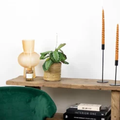 Maranta Silverband – Gebedsplant – ⌀12cm –↕10-15cm -Exporteren Tuin Verge Winkel 1000088700 0103