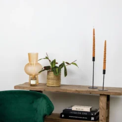 Maranta Tricolor – Gebedsplant – ⌀12cm –↕10-15 Cm -Exporteren Tuin Verge Winkel 1000088701 0103