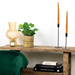 Maranta 'Kerchoveana'– Gebedsplant – ⌀12cm –↕10-15cm -Exporteren Tuin Verge Winkel 1000088702 0103