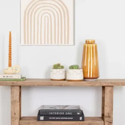 2x Succulenten Mix In Pot – Succulenten – ⌀8,5cm - ↕15-20 Cm -Exporteren Tuin Verge Winkel 1000095892 0103