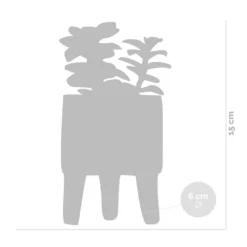 4x Succulenten Mix Pot – Succulenten – ⌀6 Cm - ↕10-15 Cm -Exporteren Tuin Verge Winkel 1000095894 0102