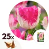 Tulipa Cabanna - 25x Tulpenbollen - Roze / Wit