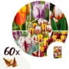 Plant In A Box - Tulipa Flaming Beauty Mix - Tulpenbollen X60 - Bloembollen