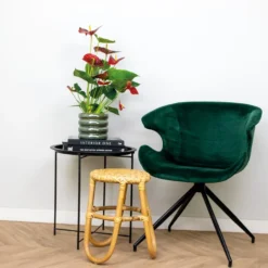 Anthurium Aristo Rood – Flamingoplant - ⌀14 Cm - ↕45-55 Cm -Exporteren Tuin Verge Winkel 1104020374 0103