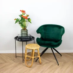 Anthurium 'Aristo' Oranje – Flamingoplant - ⌀14 Cm - ↕45-55 Cm -Exporteren Tuin Verge Winkel 1218518760 0103