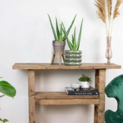 2x Aloe Vera Barbadensis - Vetplant - ⌀10,5 Cm - ↕30-35 Cm -Exporteren Tuin Verge Winkel 1372455717 0103