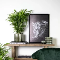 Chamaedorea - Mexicaanse Dwergpalm - ⌀17 Cm – ↕50-60 Cm -Exporteren Tuin Verge Winkel 1464586363 0103