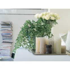 Hoya 'Krinkle' - Kamerplant In Kwekerspot ⌀10 Cm - ↕15 Cm -Exporteren Tuin Verge Winkel 1585208249 0102