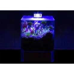 Plantenterrarium Bye Bye Fly – Vleesetende Planten – ↕23 Cm -Exporteren Tuin Verge Winkel 1927342073 0102